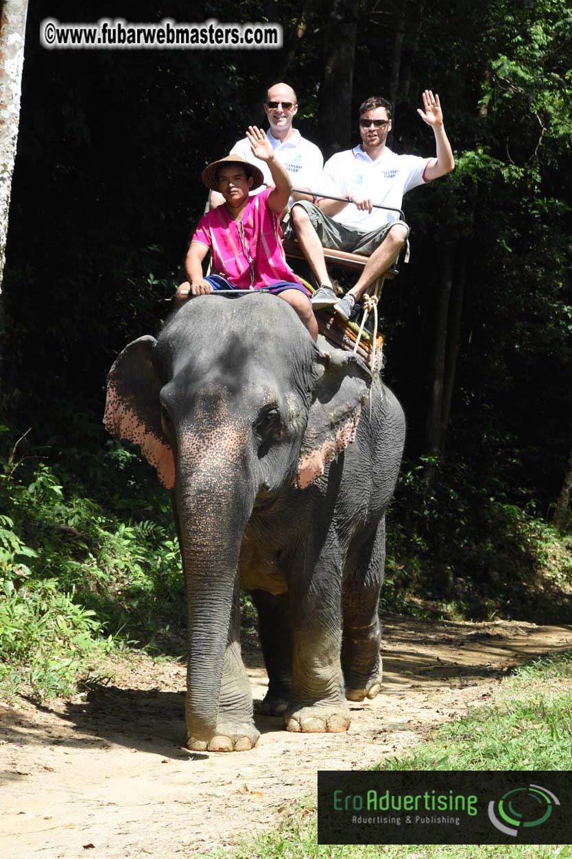 Elephant Safari 