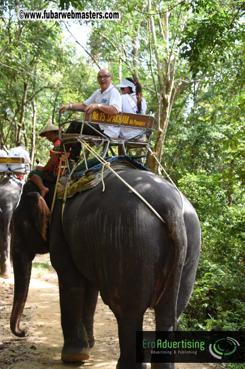 Elephant Safari 