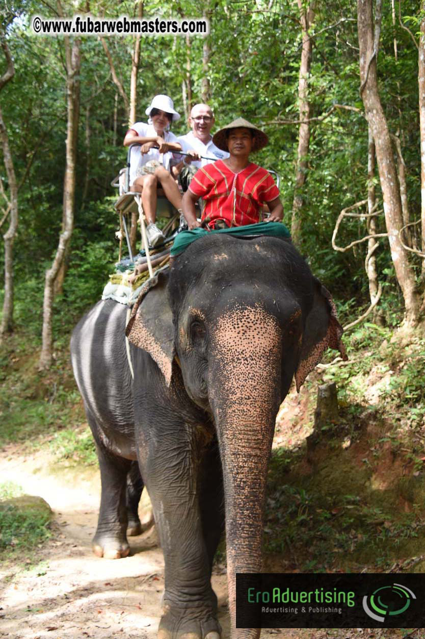 Elephant Safari 