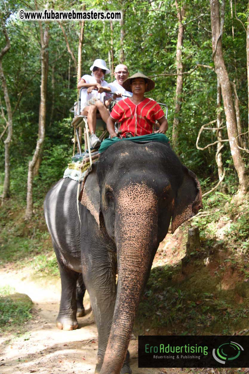 Elephant Safari 