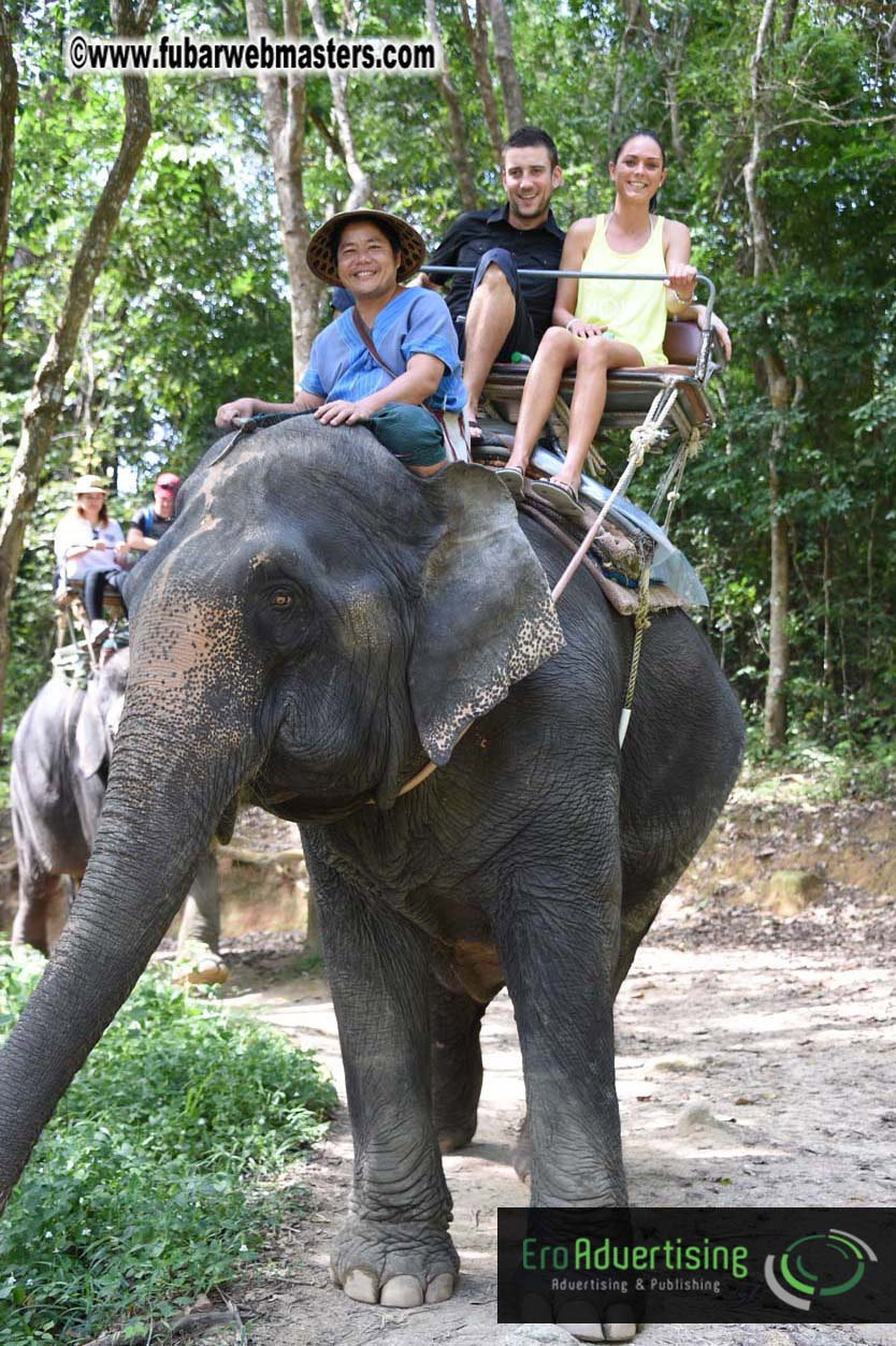 Elephant Safari 