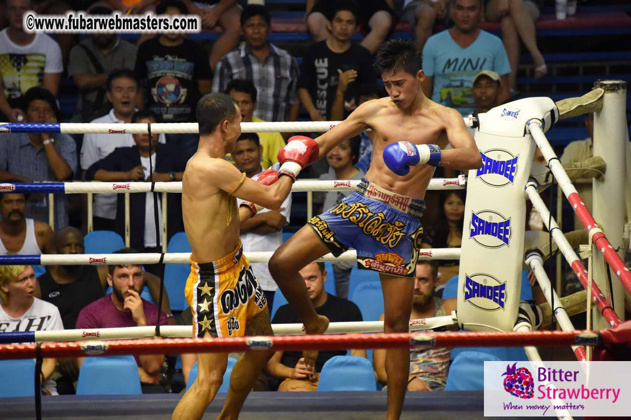 Muay Thai Boxing