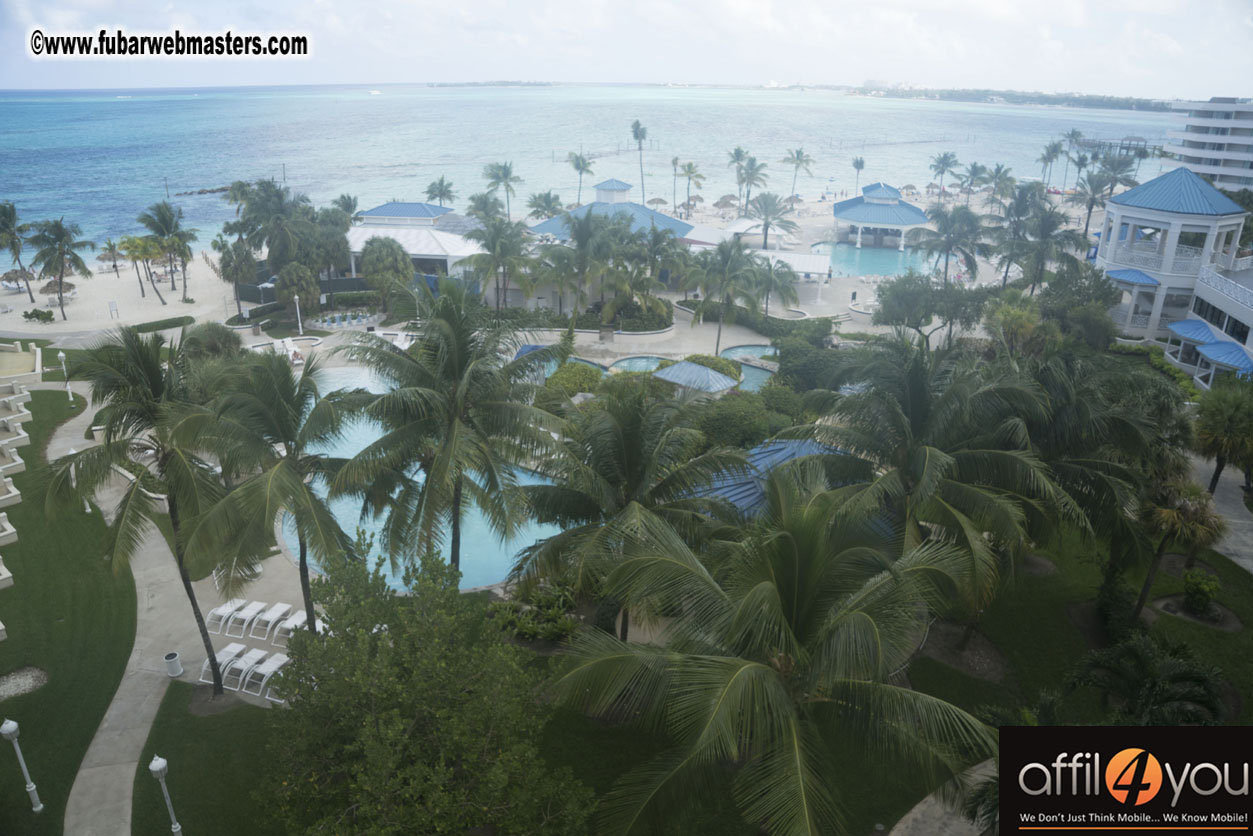 Joey Affil4You Gabras View of TIG2015