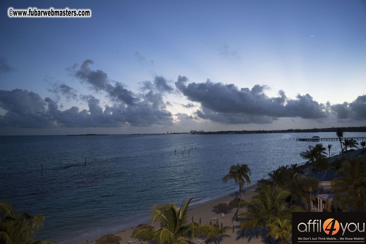 Joey Affil4You Gabras View of TIG2015