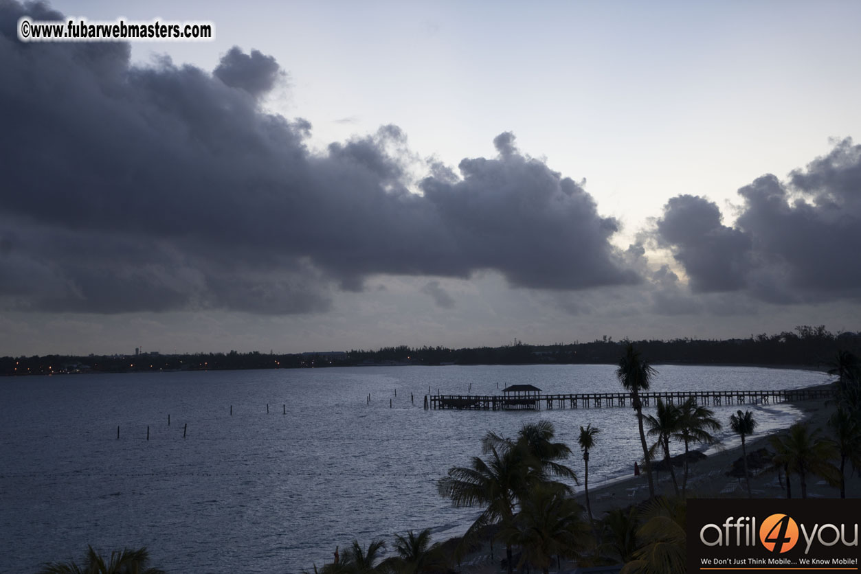 Joey Affil4You Gabras View of TIG2015