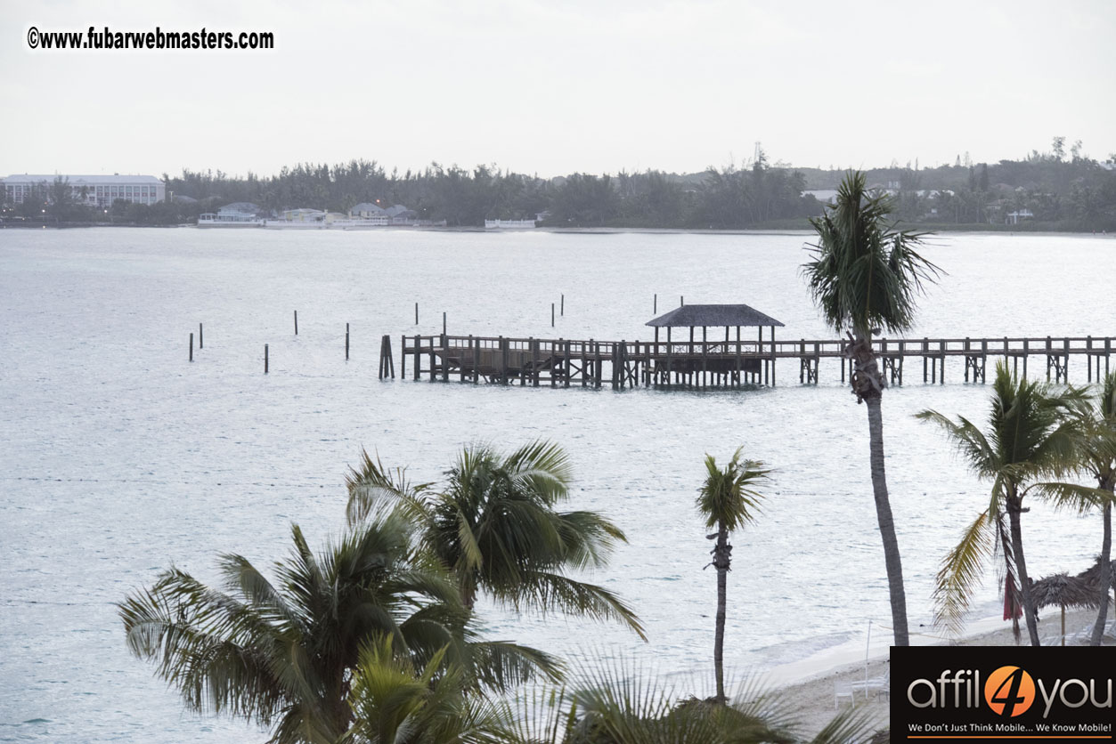 Joey Affil4You Gabras View of TIG2015