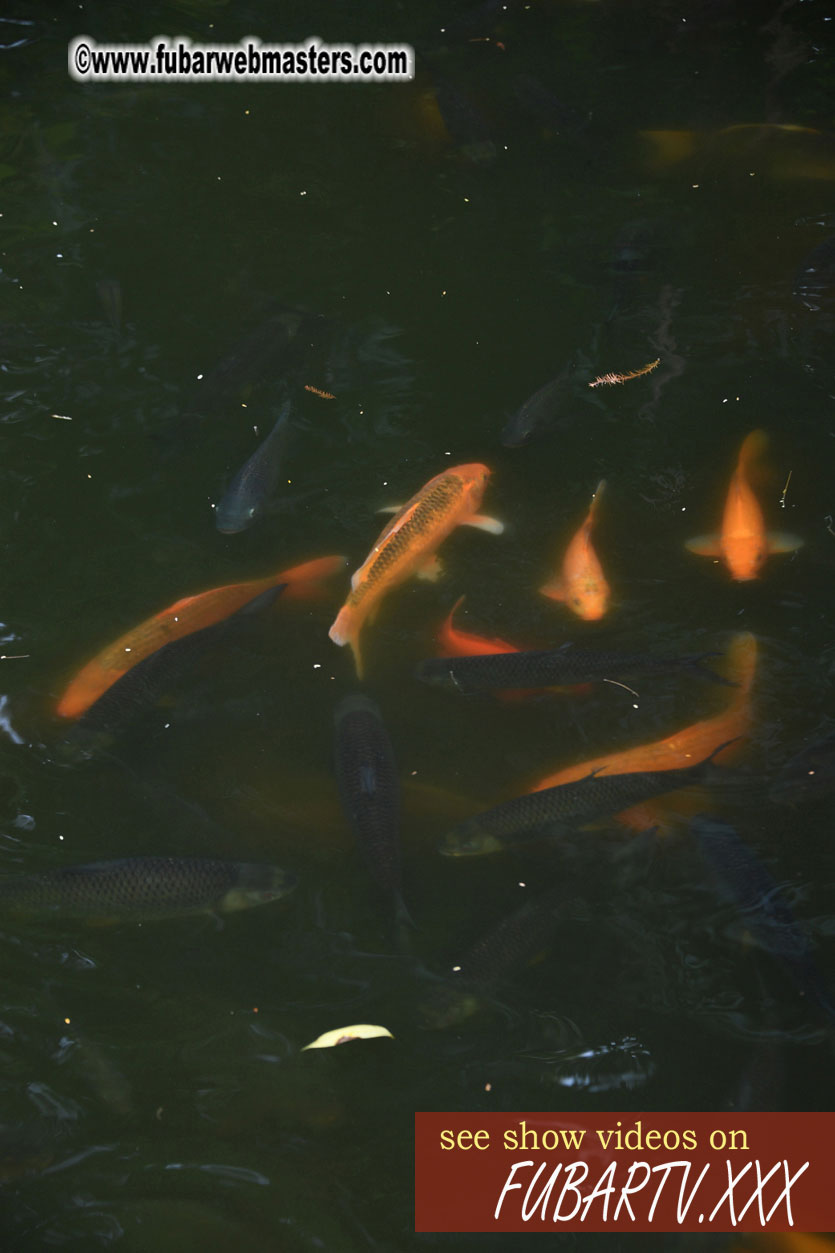 Ho Chi Minhs Vestige in the Presidential Palace