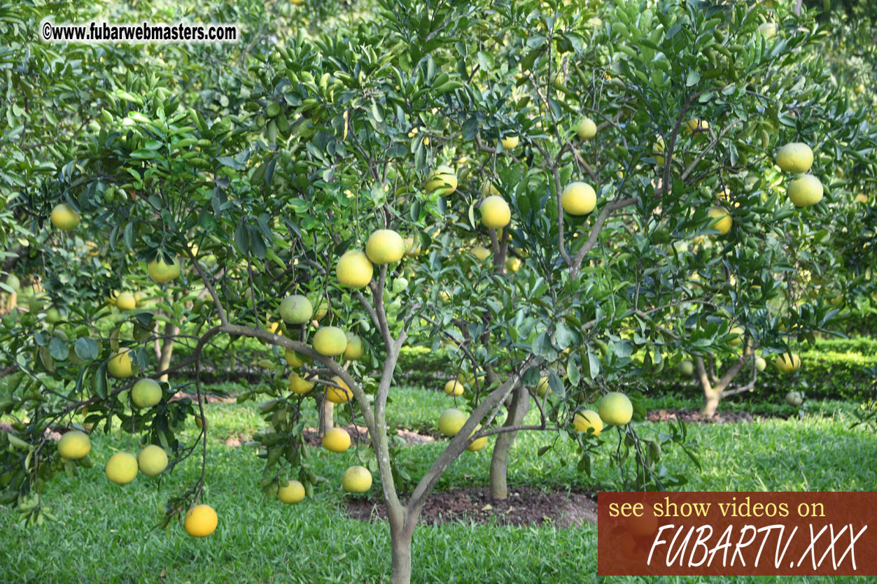 Ho Chi Minhs Vestige in the Presidential Palace