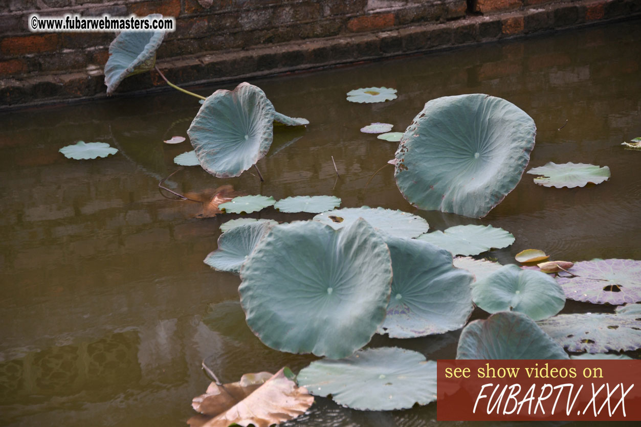 Getting to know Hanoi