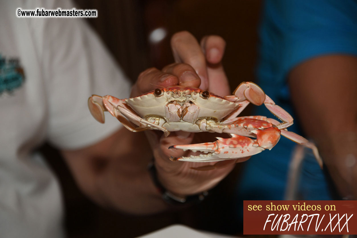 Supper on the Golden Cruise