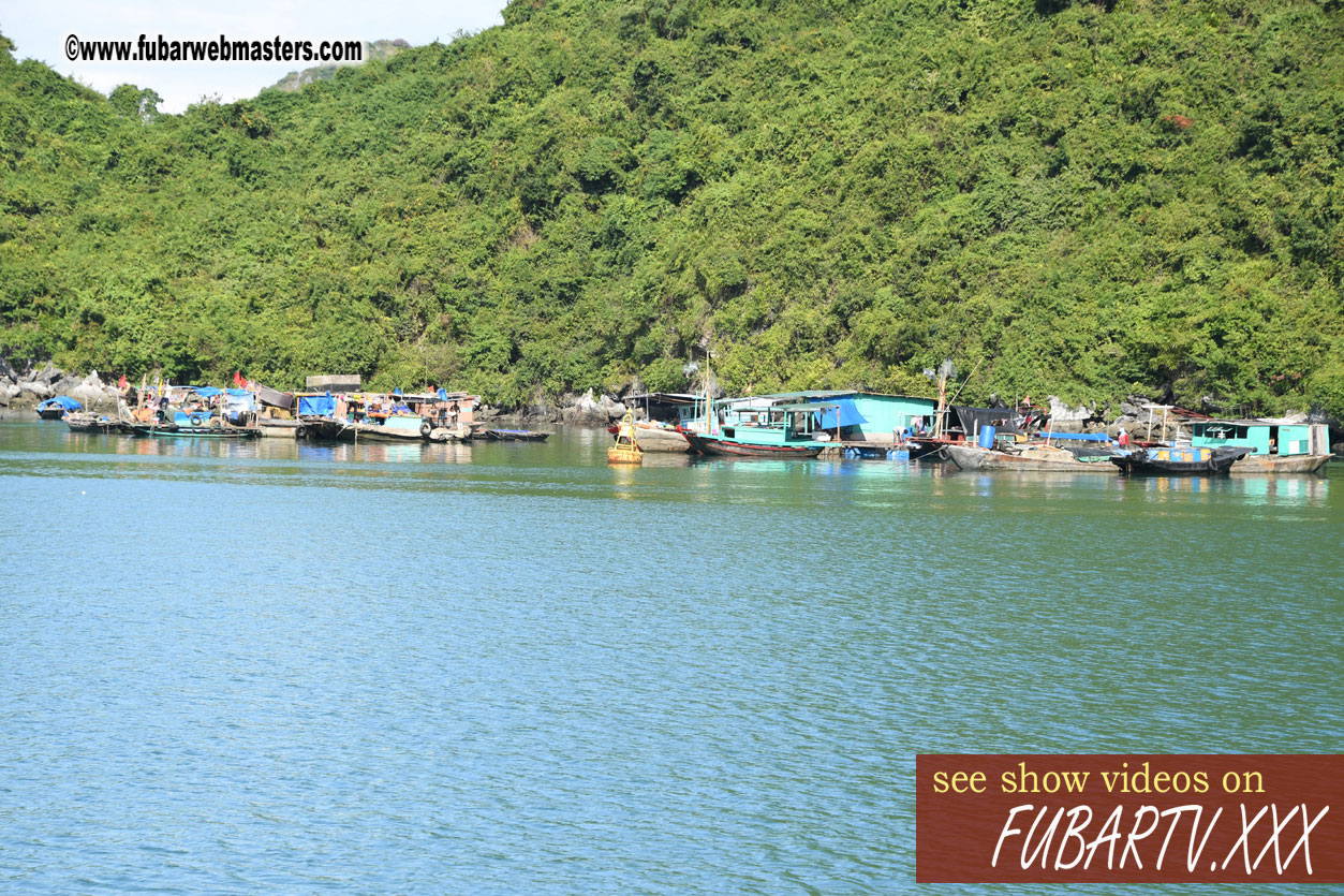 Island Hopping