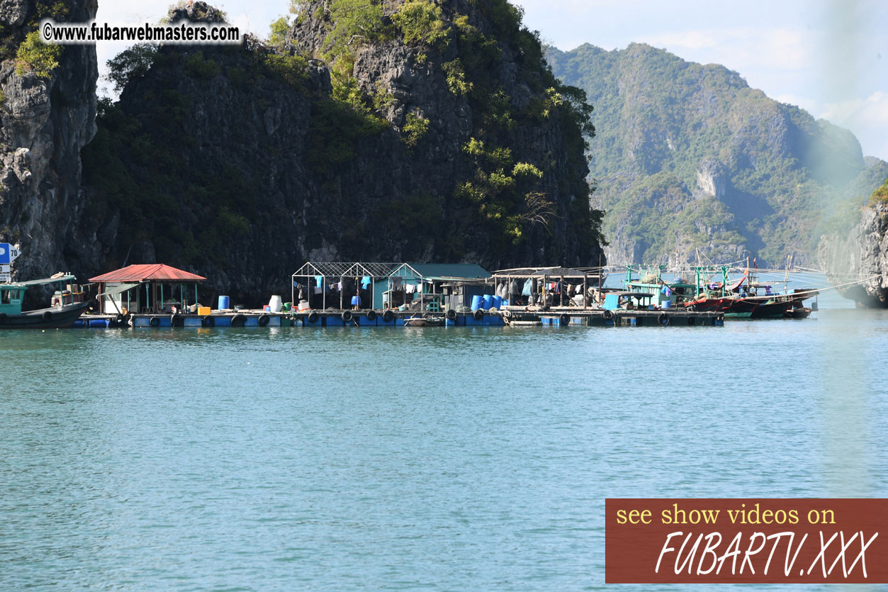 Island Hopping