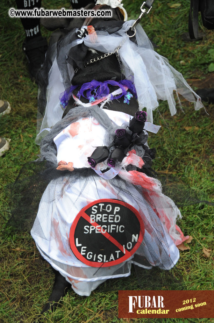 9th Annual Zombie Walk