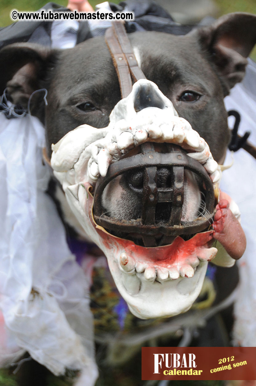 9th Annual Zombie Walk