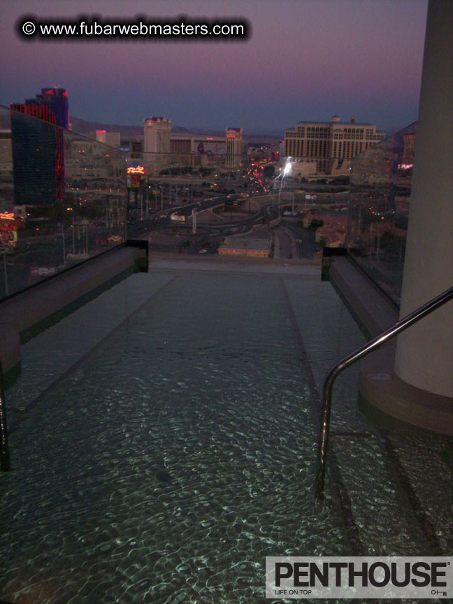 Maleflixxx Cock&Tail