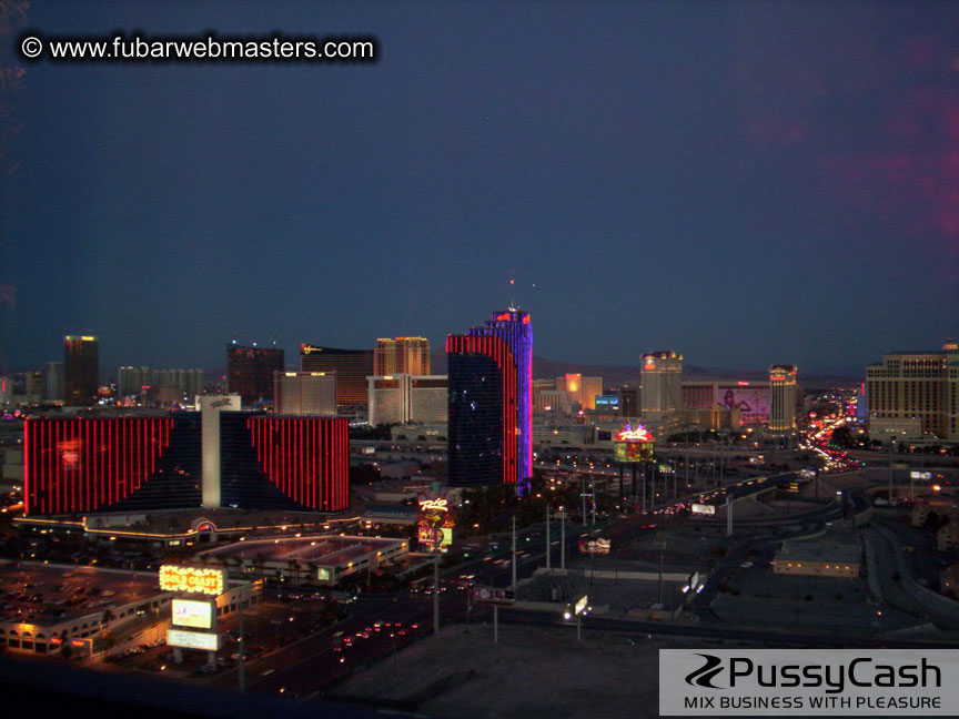 Maleflixxx Cock&Tail