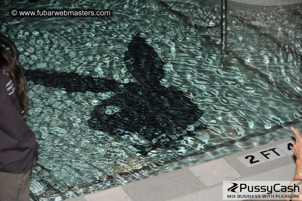 Adult Webmaster Empire's Exclusive Party at Hugh H