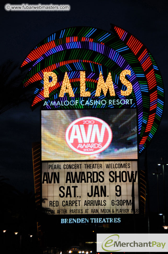 AVN Awards Red Carpet