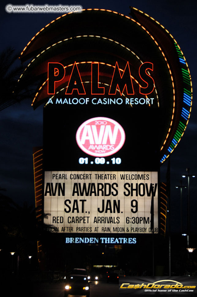 AVN Awards Red Carpet