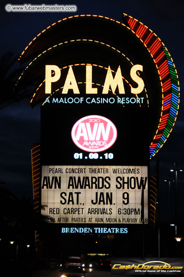 AVN Awards Red Carpet