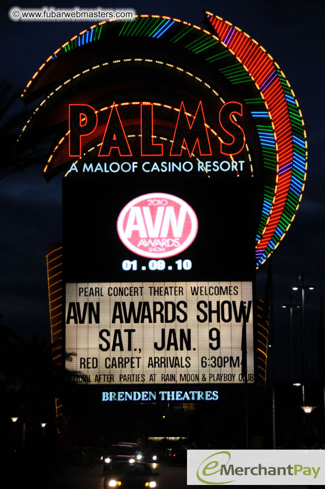 AVN Awards Red Carpet