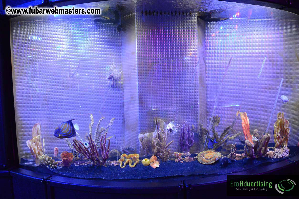 Mr Skin?ÇÖs Mini Golf