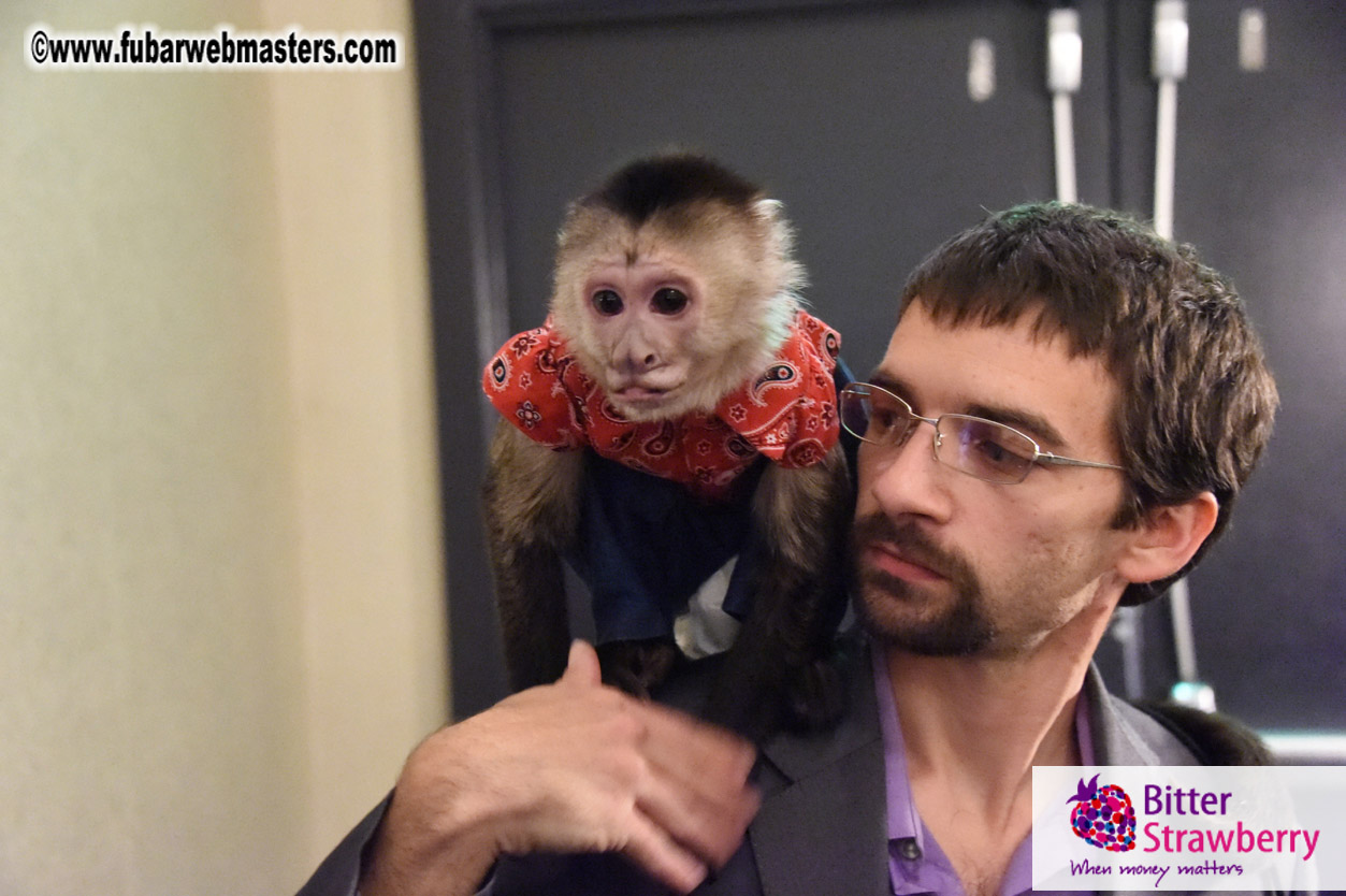 MojoHost Suite Party