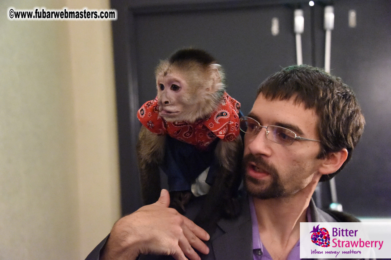 MojoHost Suite Party