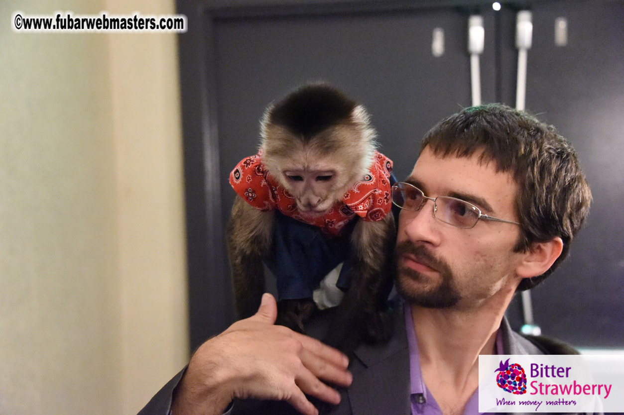 MojoHost Suite Party