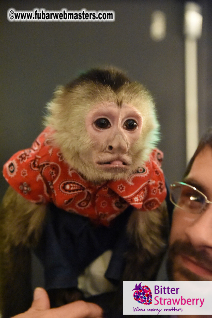 MojoHost Suite Party