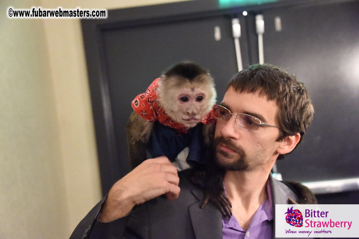 MojoHost Suite Party