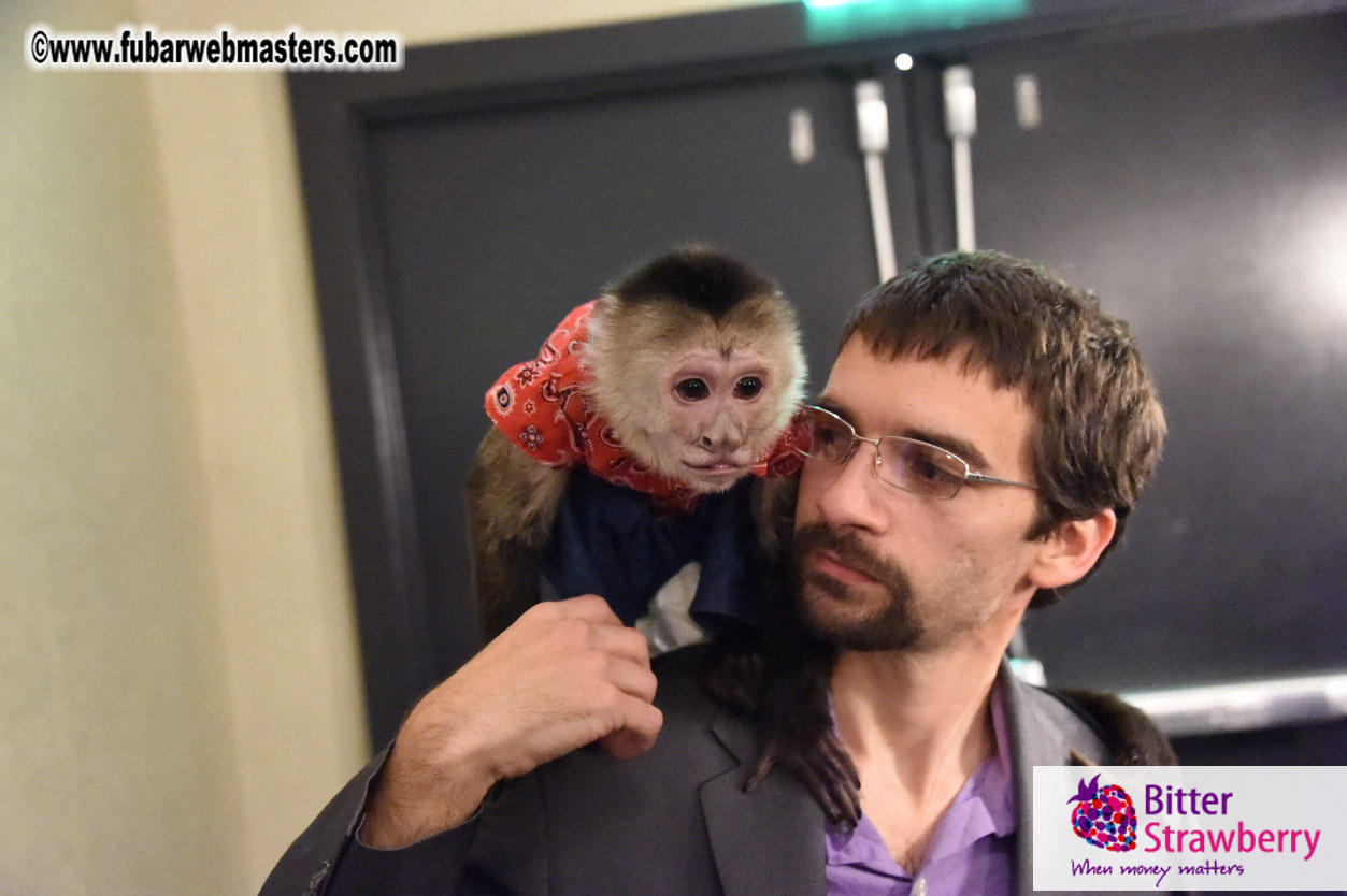 MojoHost Suite Party