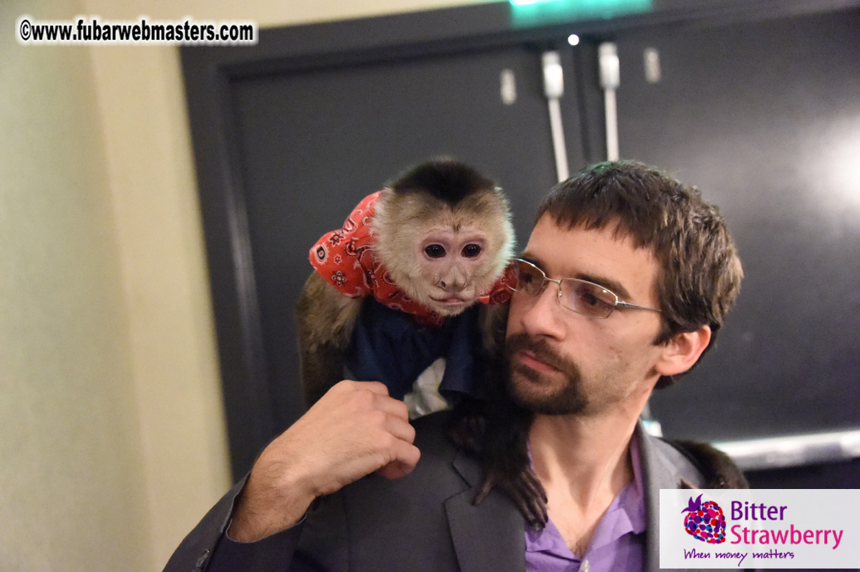 MojoHost Suite Party