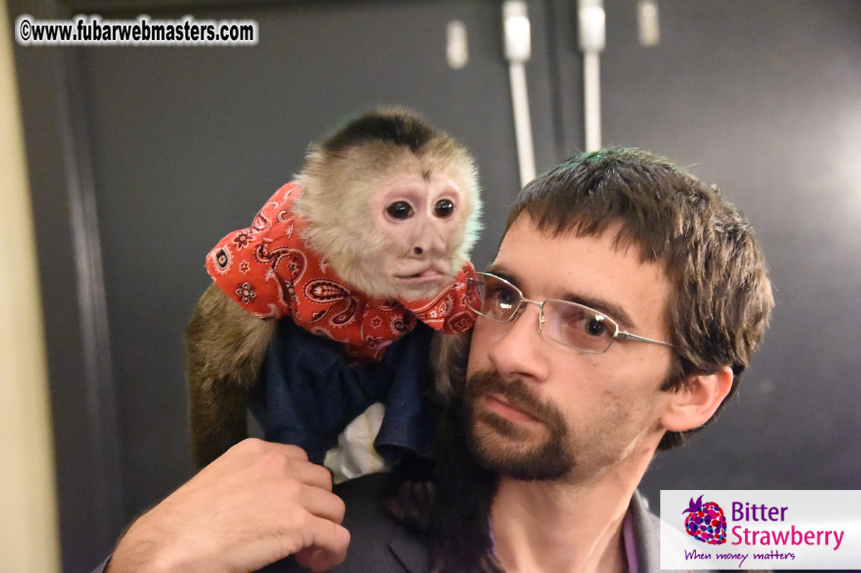 MojoHost Suite Party