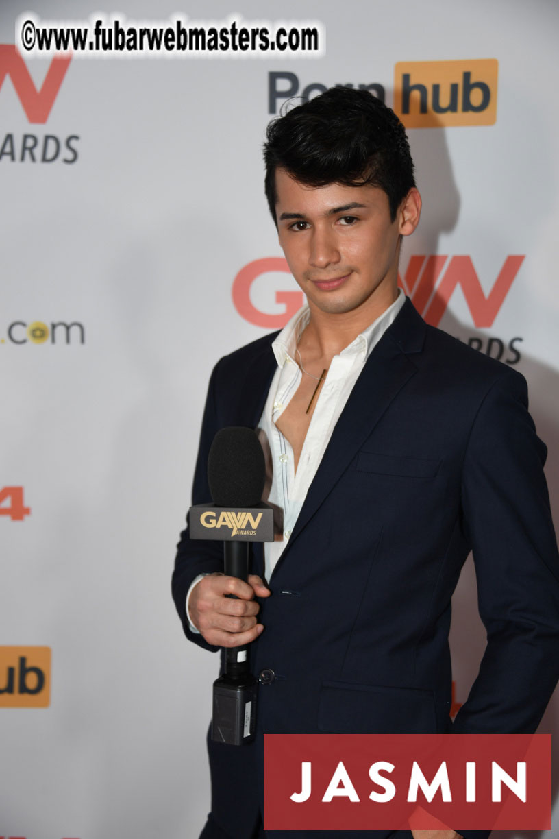 GayVN Awards