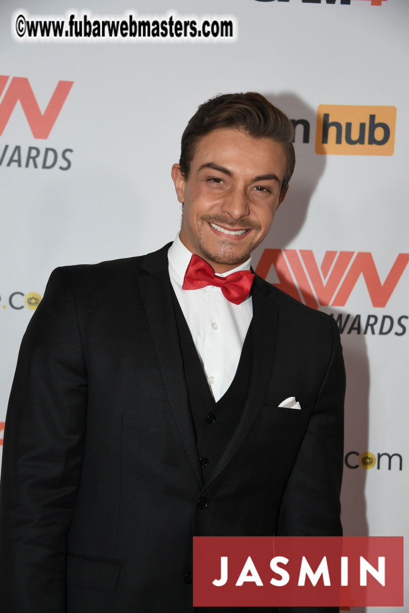GayVN Awards