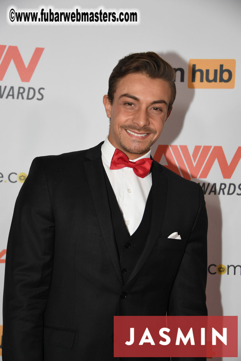 GayVN Awards