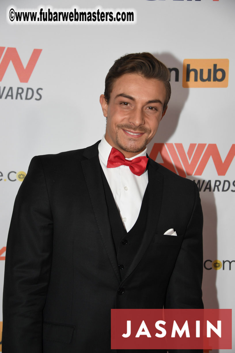GayVN Awards