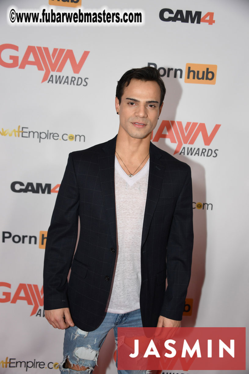 GayVN Awards