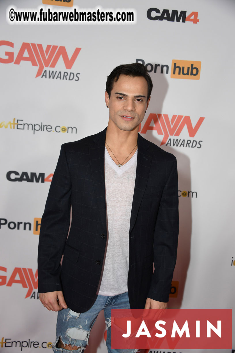 GayVN Awards
