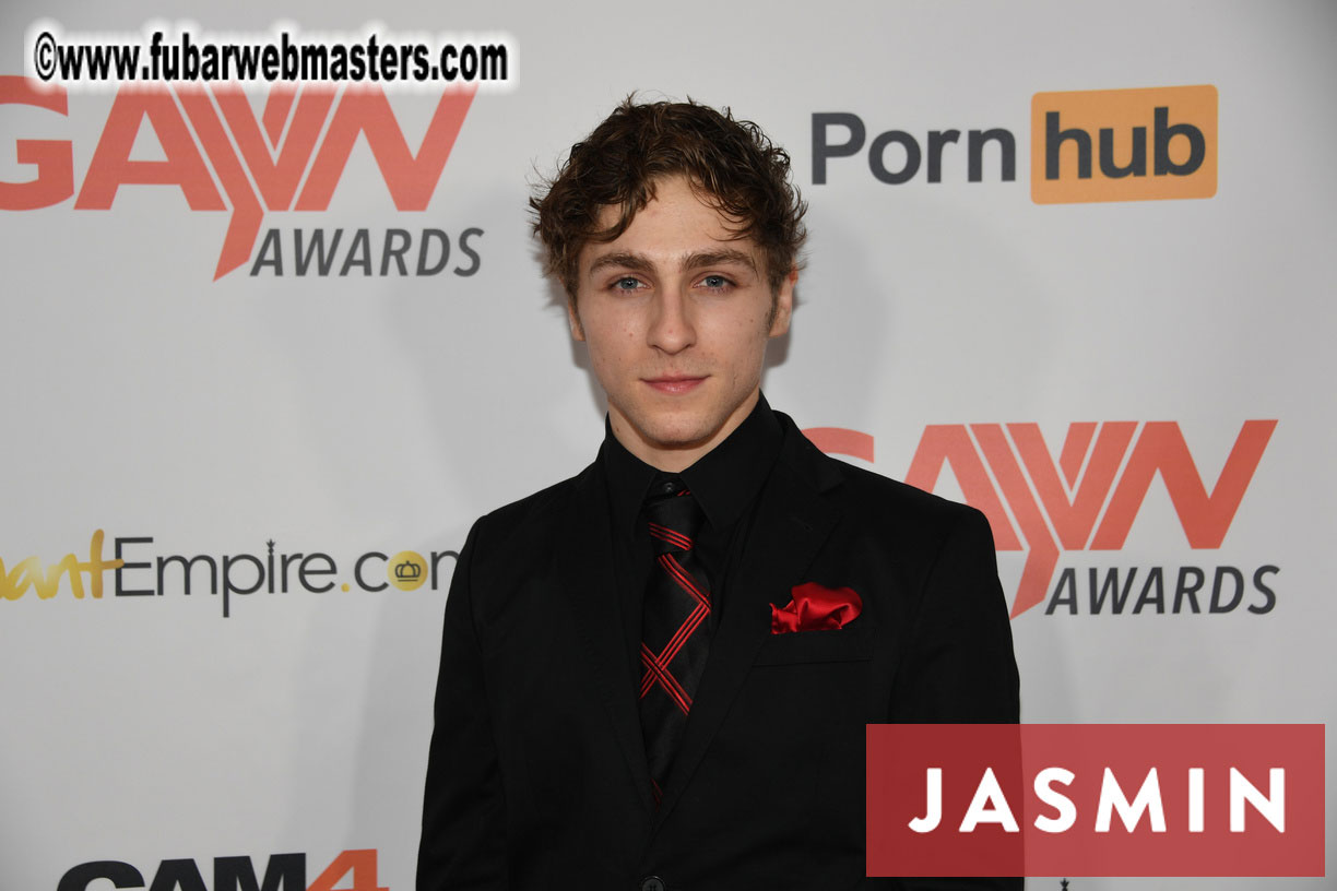 GayVN Awards