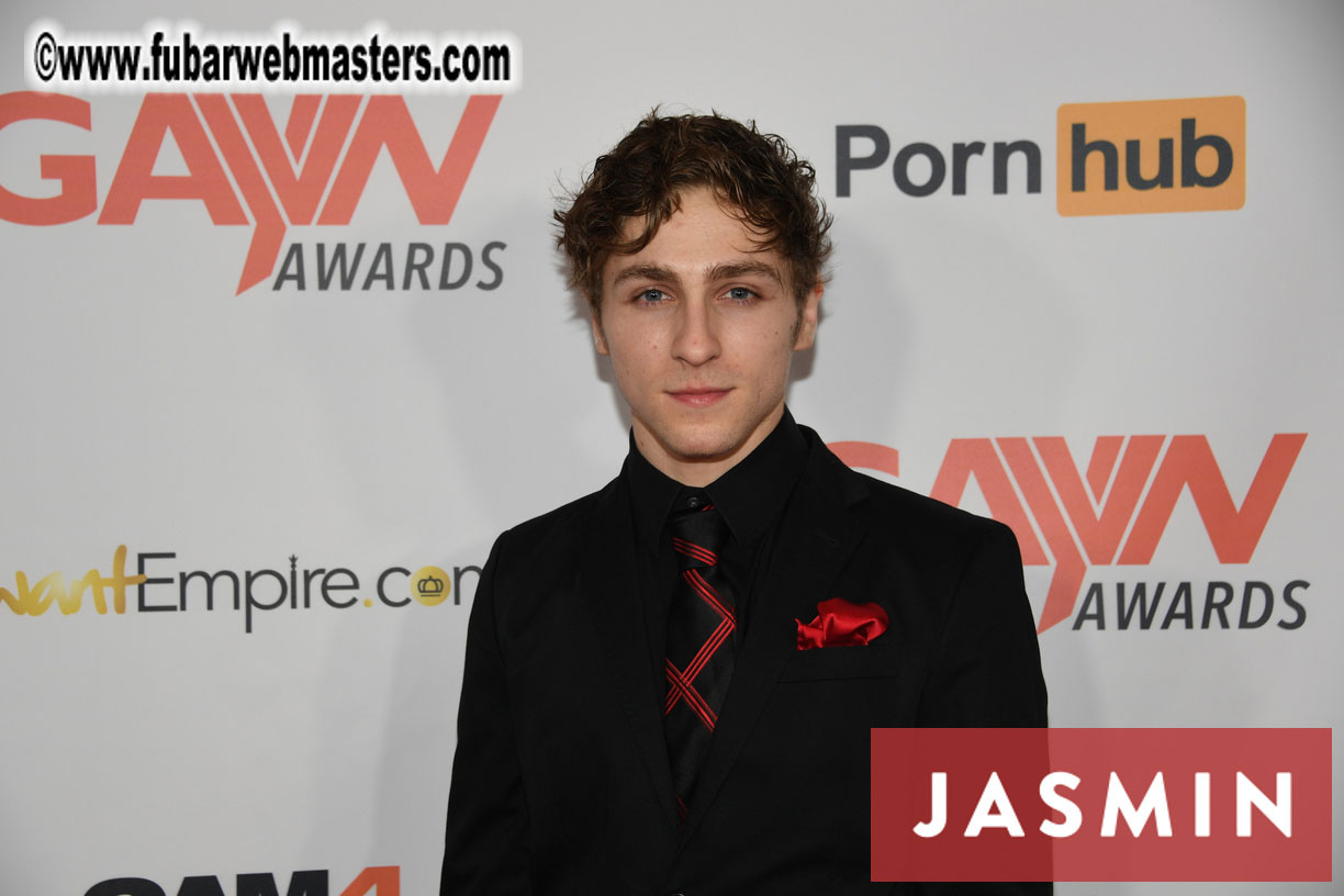 GayVN Awards