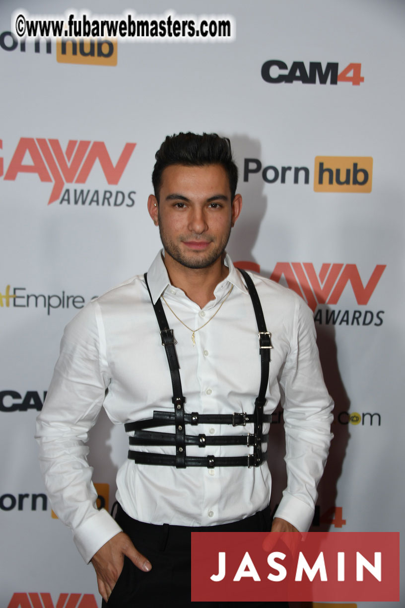 GayVN Awards