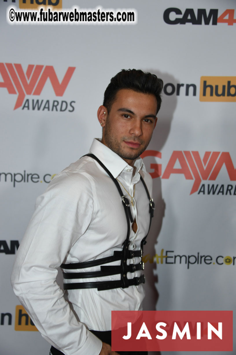GayVN Awards