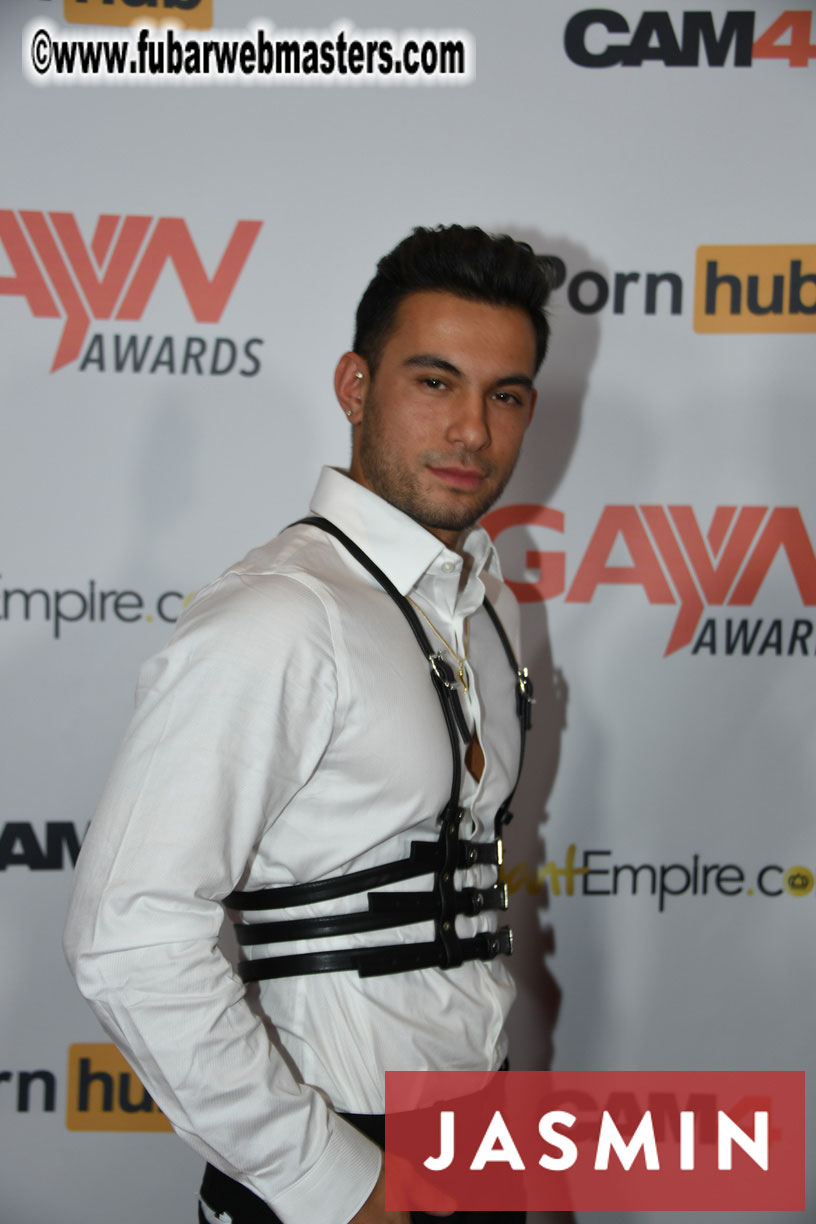 GayVN Awards