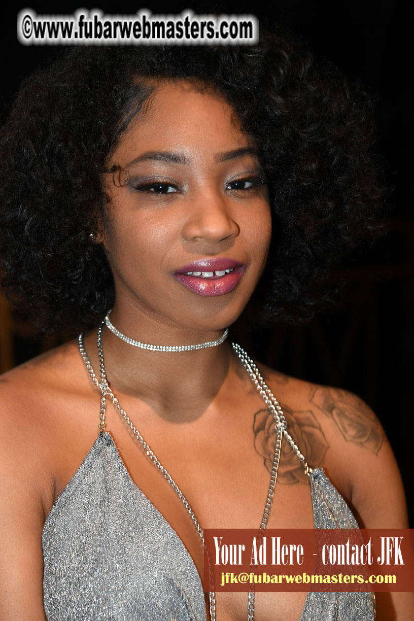 AVN Show