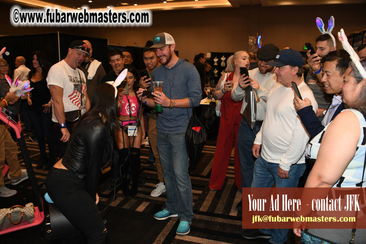 AVN Show