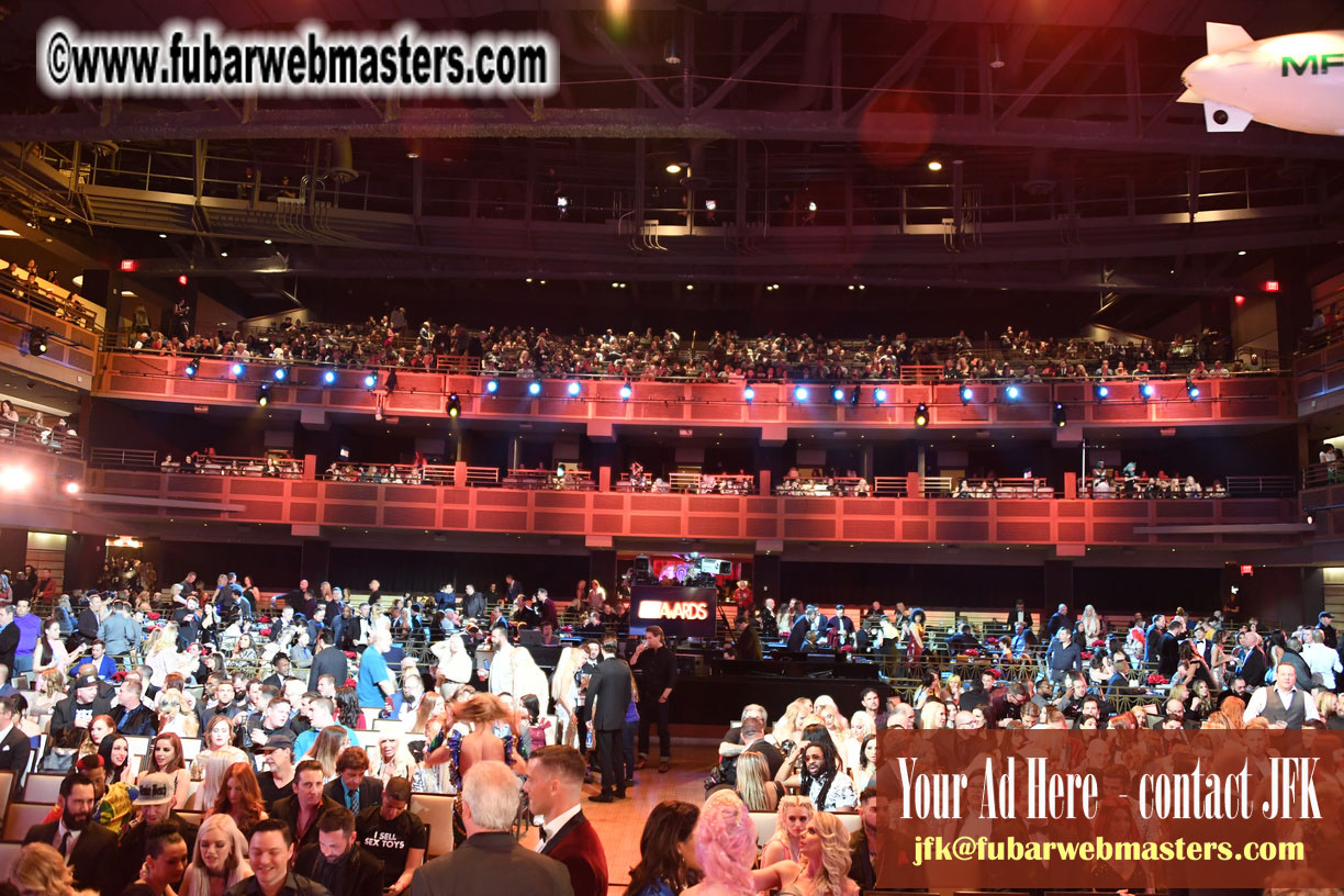 AVN Awards 2019