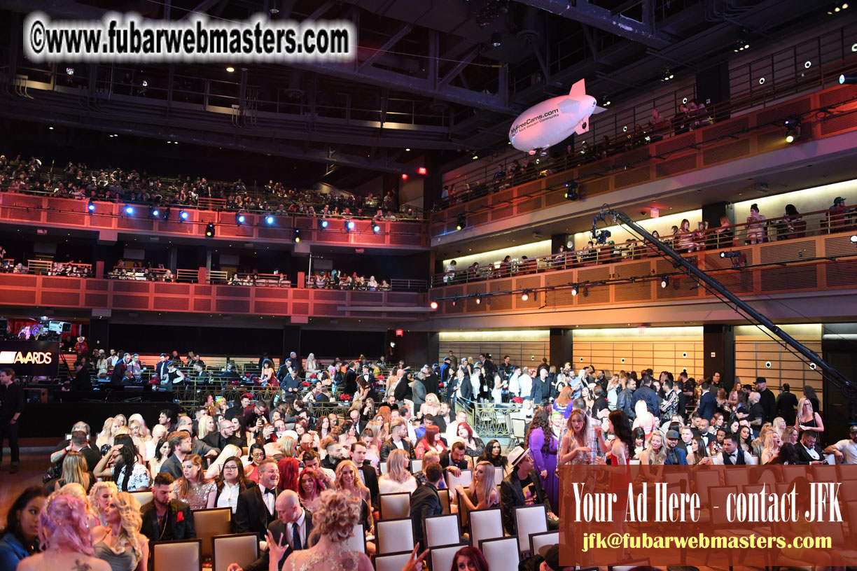 AVN Awards 2019