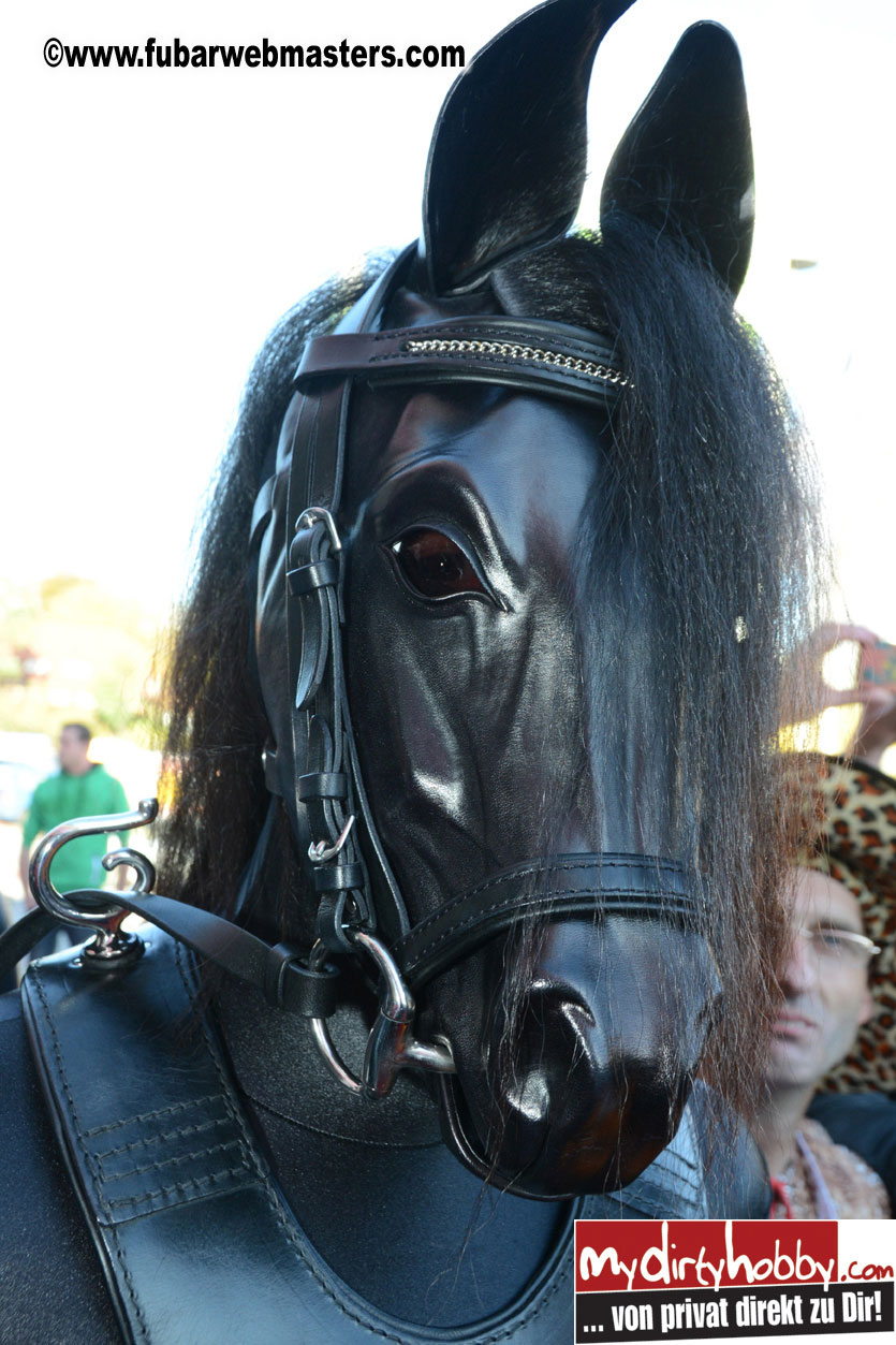 Venus Ribbon Cutting